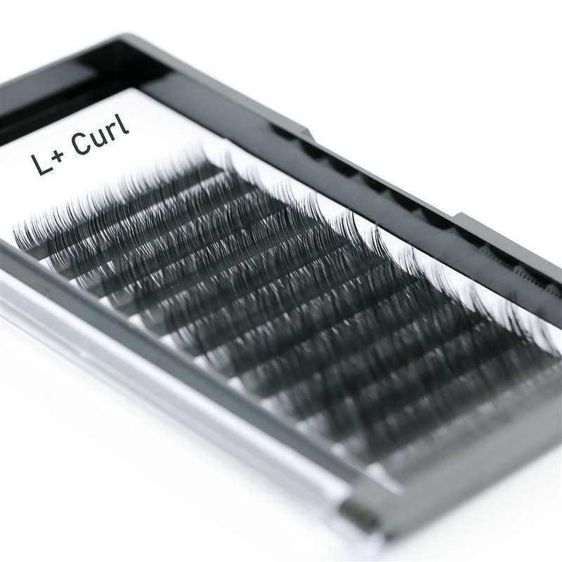 L+ curl double tips matte flat multipack cheap lash extension supplies